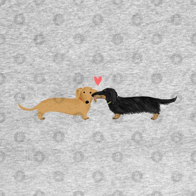 Dachshunds Love | Cute Wiener Dogs with Heart by Coffee Squirrel